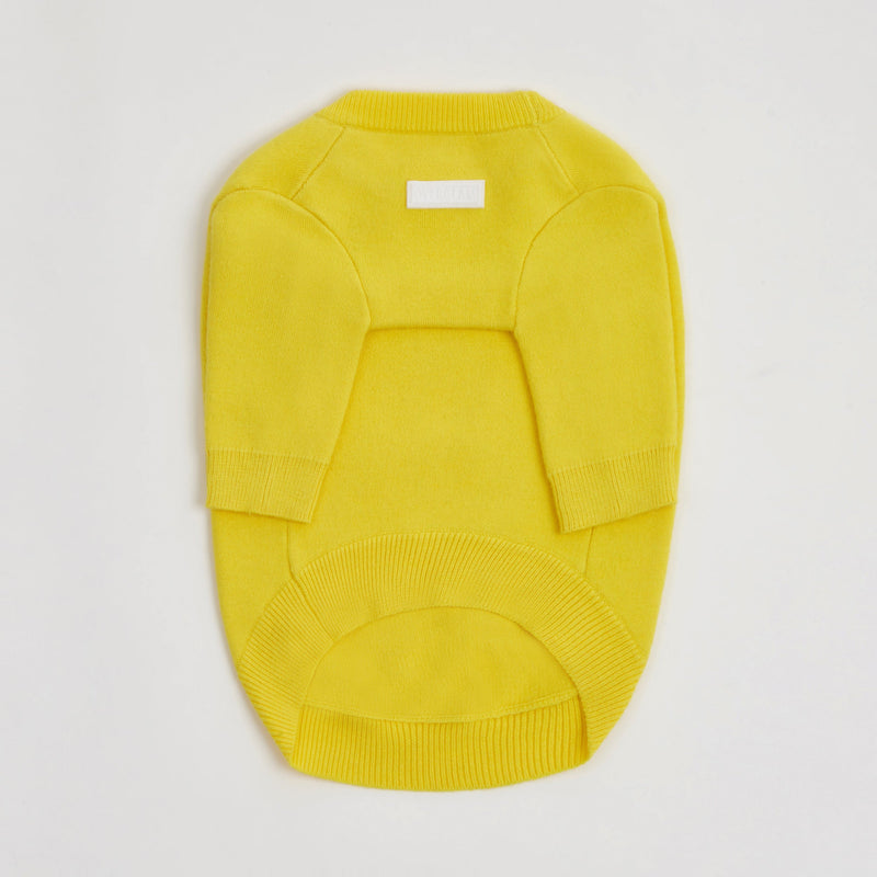 Yellow Jumper