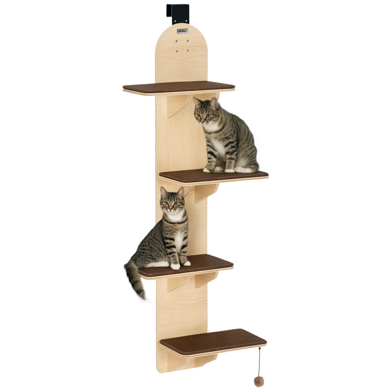 https://avasamnew.s3.amazonaws.com/product/GB010126/S0671739427/1.png
