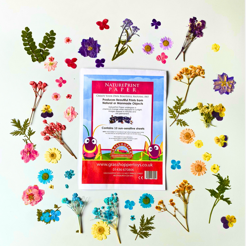 Curious Minds Sun Print Paper Kit, 10 Sheet Pack of Cyanotype Paper, 18x13 cm Sheets