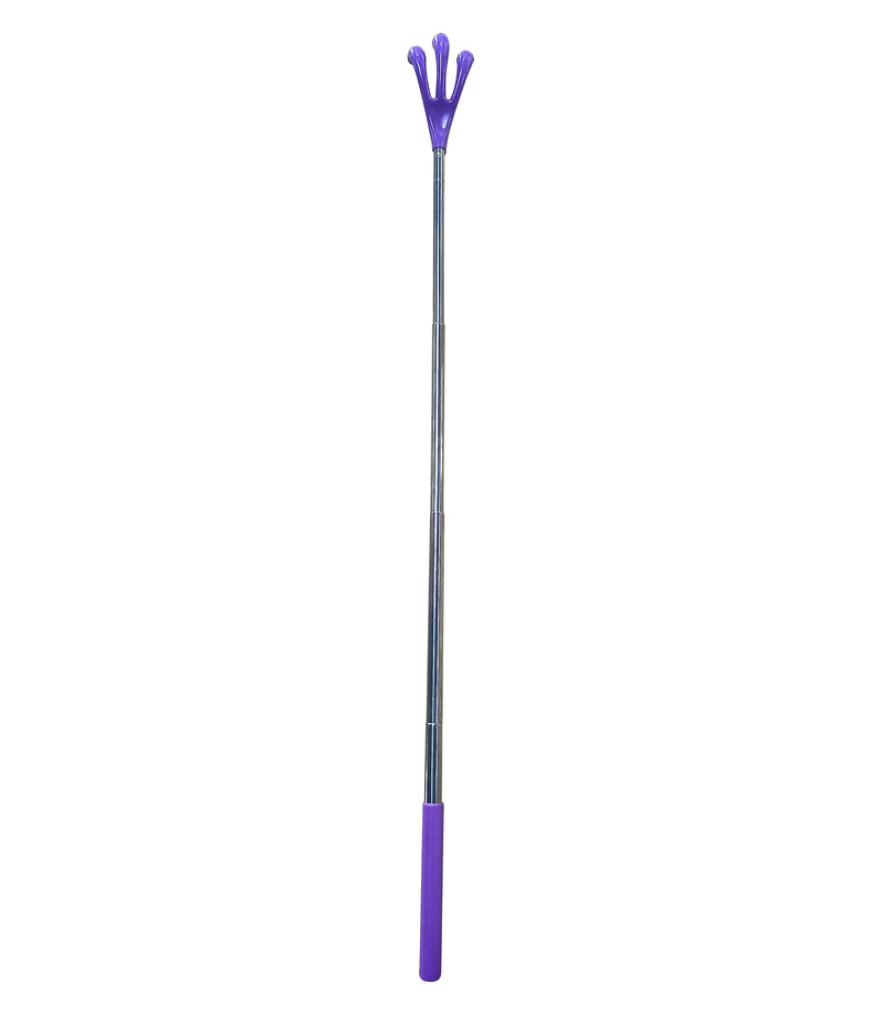 Extendable Back Stretcher