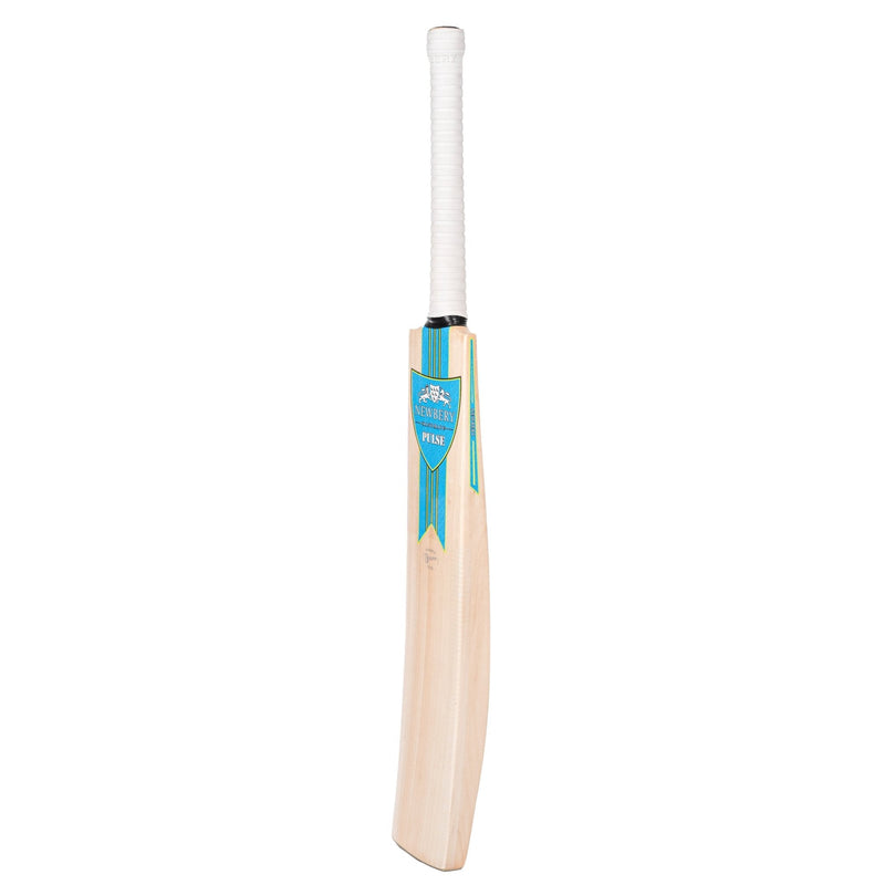 Newbery Pulse Kashmir Willow Cricket Bat