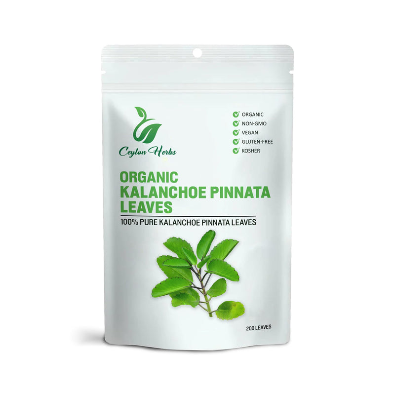 200 Kalanchoe Pinnata Leaves – Dried Organic, 100% Pure & Natural
