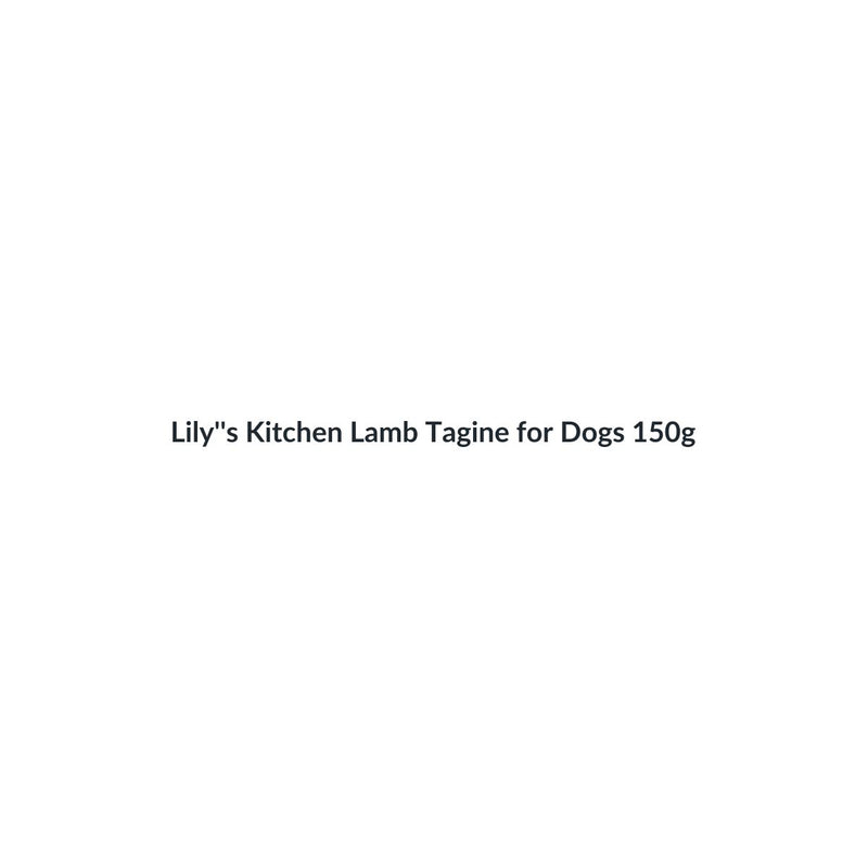 Lily's Kitchen Lamb Tagine for Dogs 150g - Case of 10