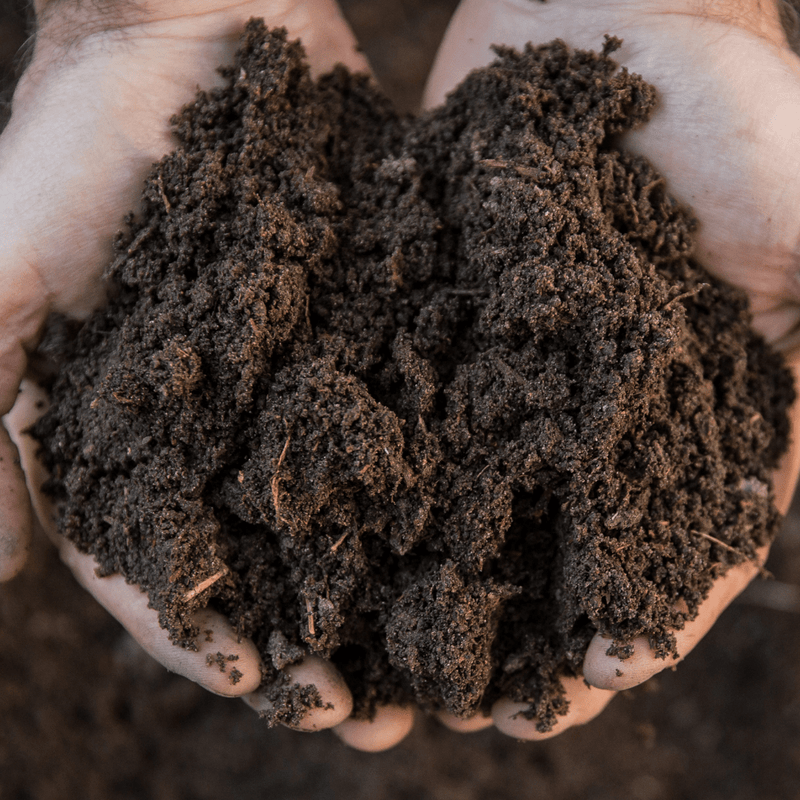 Premium Multipurpose Welsh Topsoil - All-In-One