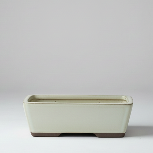 22cm Glazed Bonsai Pot | Rectangle | 22cm x 17cm x 7cm | White