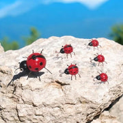 23/12/10CM SET 6 LADYBIRDS - InStock