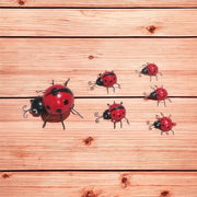 23/12/10CM SET 6 LADYBIRDS - InStock