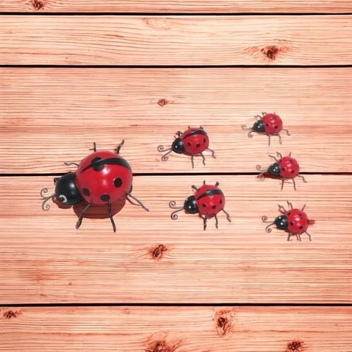 23/12/10CM SET 6 LADYBIRDS - InStock