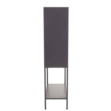Two Door Grey Metal Cabinet With Glass Doors | Acier