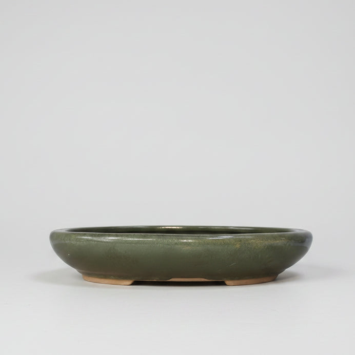 25cm Glazed Bonsai Pot | Oval | 25cm x 18cm x 4.5cm | Green