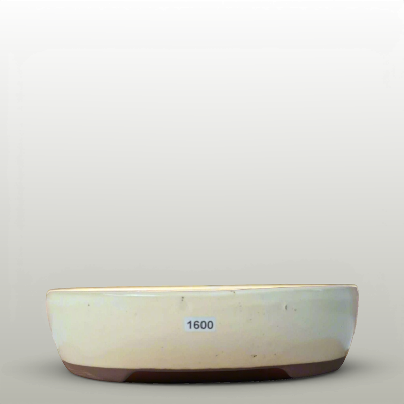 26cm Glazed Bonsai Pot | Oval | 26cm x 22cm x 6.5cm | White