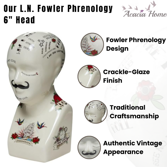 6" PHRENOLOGY HEAD