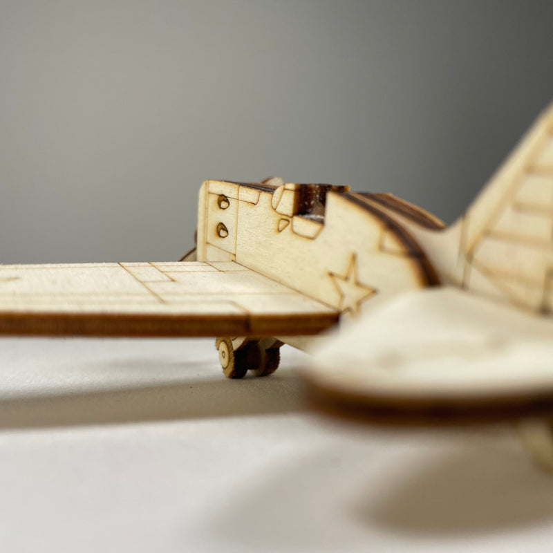 Plane Decoration - Handmade Ornament