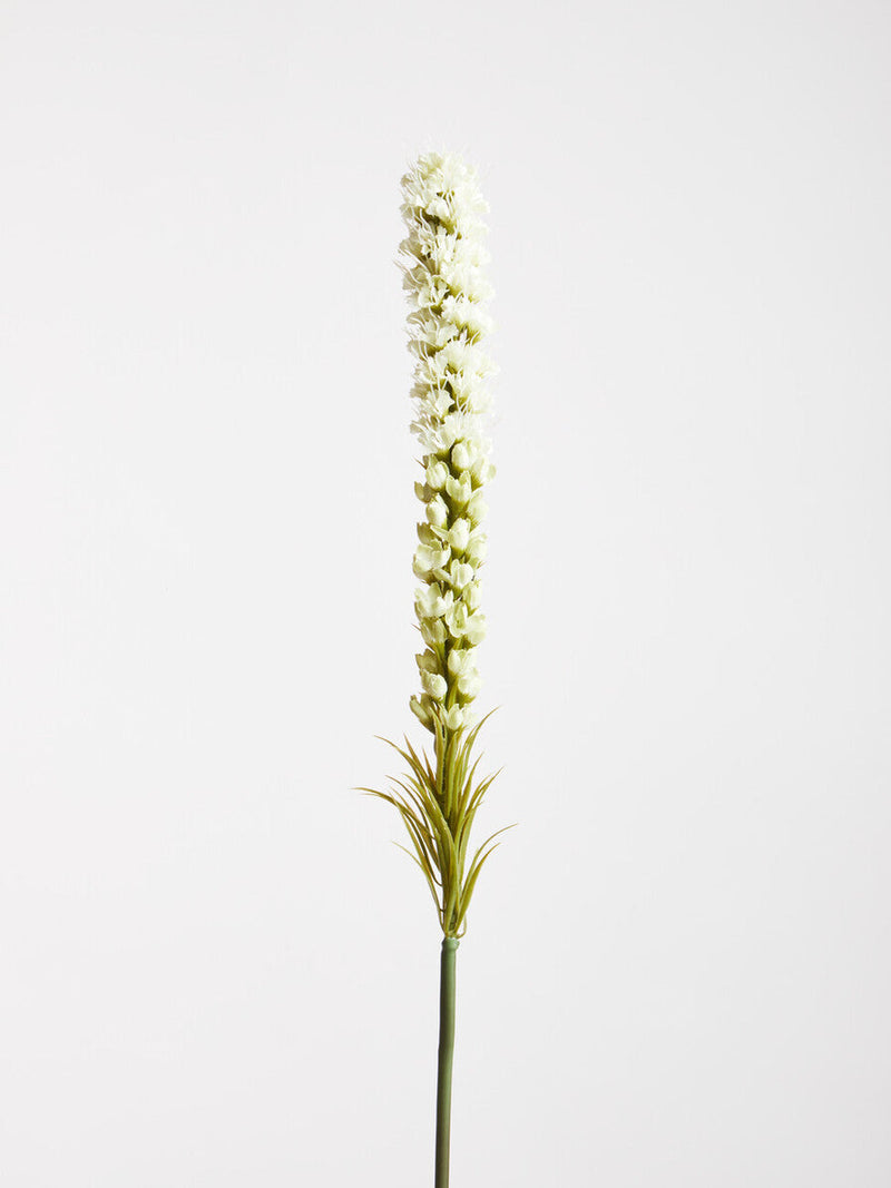Fiori White Blazing Star Flower Stem