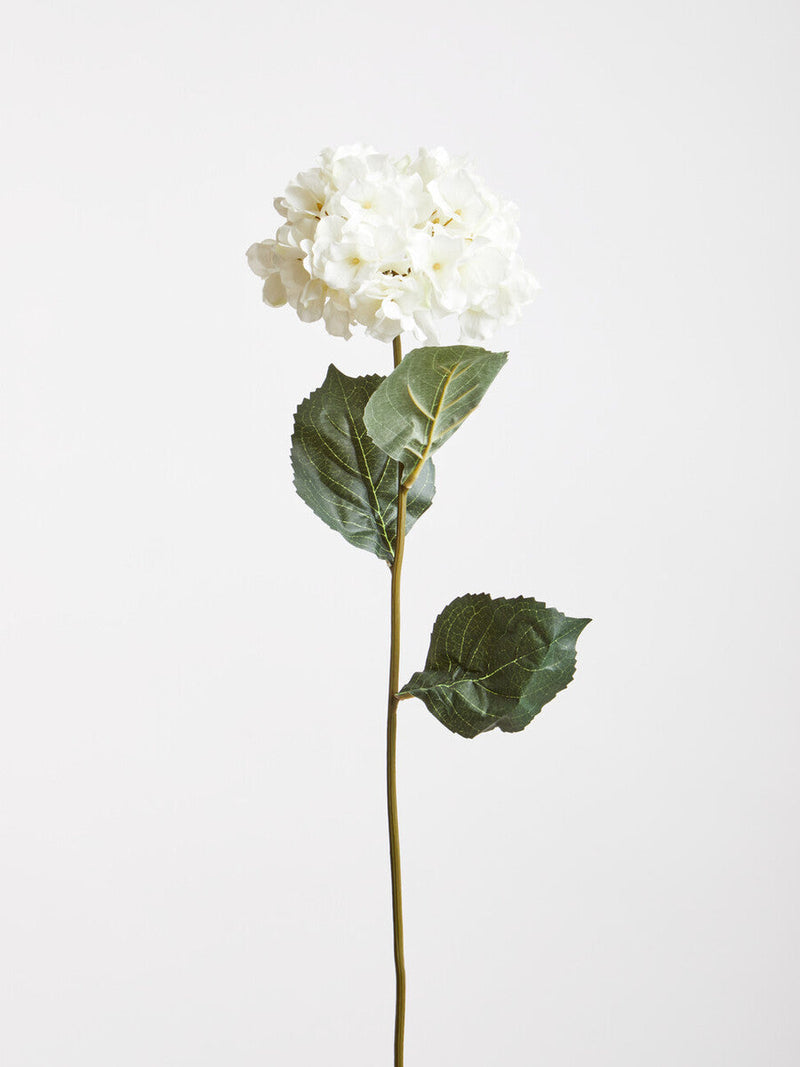 Cream Hydrangea Flower Stem | Fiori Artificial flowers