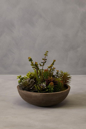 Mixed Succulent in Stone Effect Pot | Fiori