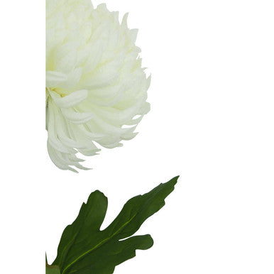 Fiori White Chrysanthemum Flower Stem