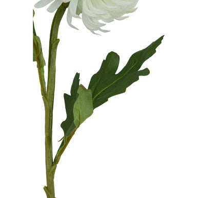 Fiori White Chrysanthemum Flower Stem