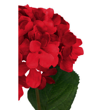 Fiori Red Hydrangea Flower Stem
