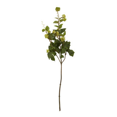 Fiori Green Hop Flower Spray Stem