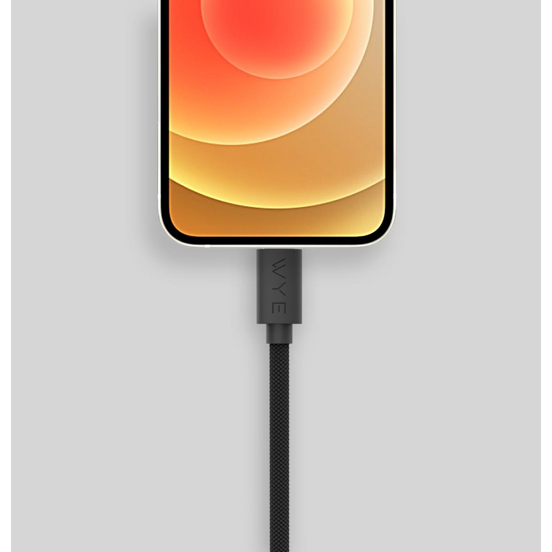 WYE USB-C to 8-Pin Fast Charging & Data Cable 3m - Black
