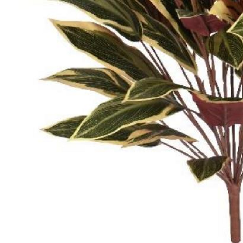 90cm Fire Retardant Caladium Bush with white edge x15w/49Lvs