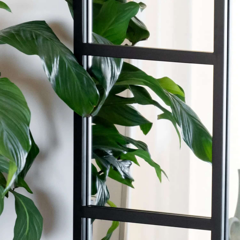 Mio - Full Length Black Metal Arched Window Mirror - 180cm x 90cm.