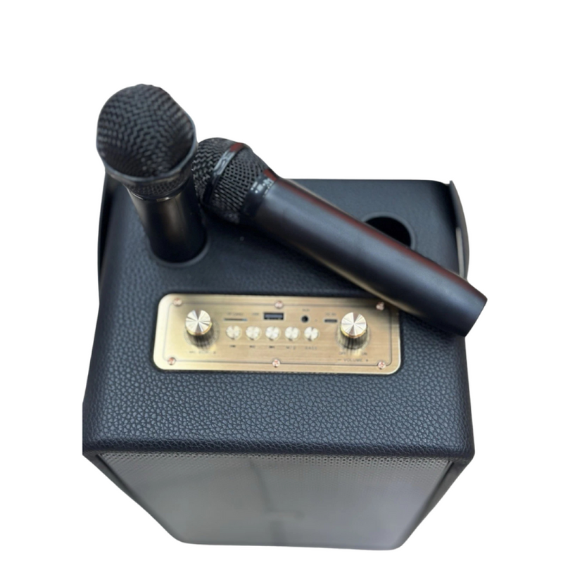 Panther Force Speaker with 2 wireless MIC & RGB LIGHT - PF305