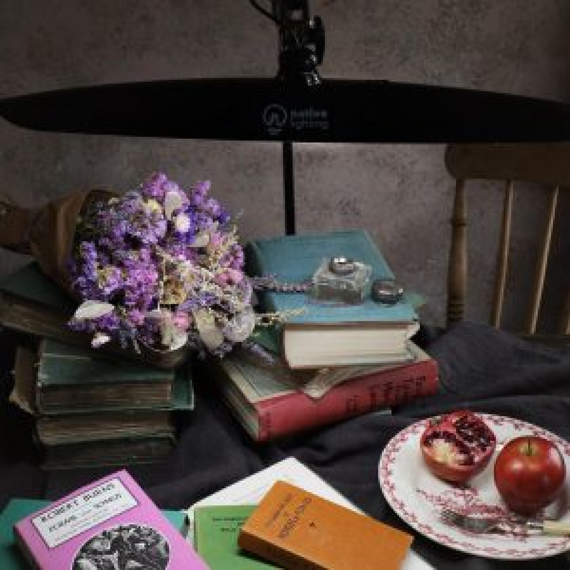 Native Lighting Onyx Black Task Lamp