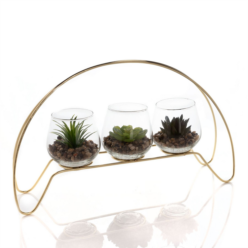 Hestia Trio Succulent in Gold Hoop Frame
