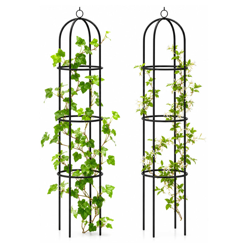 2pc Metal Garden Obelisks for Plant Support