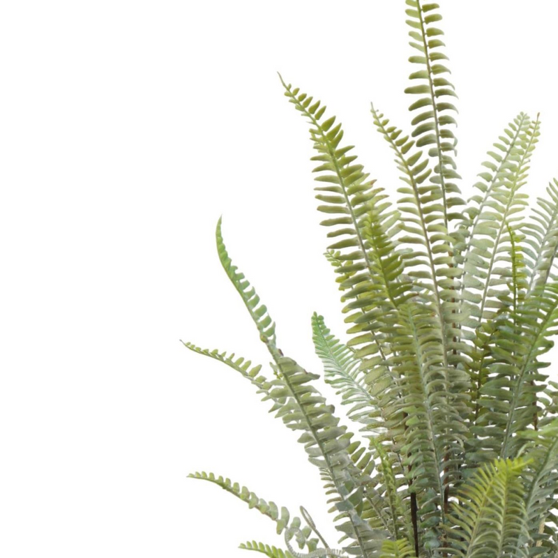 74cm Artificial Fern Plant