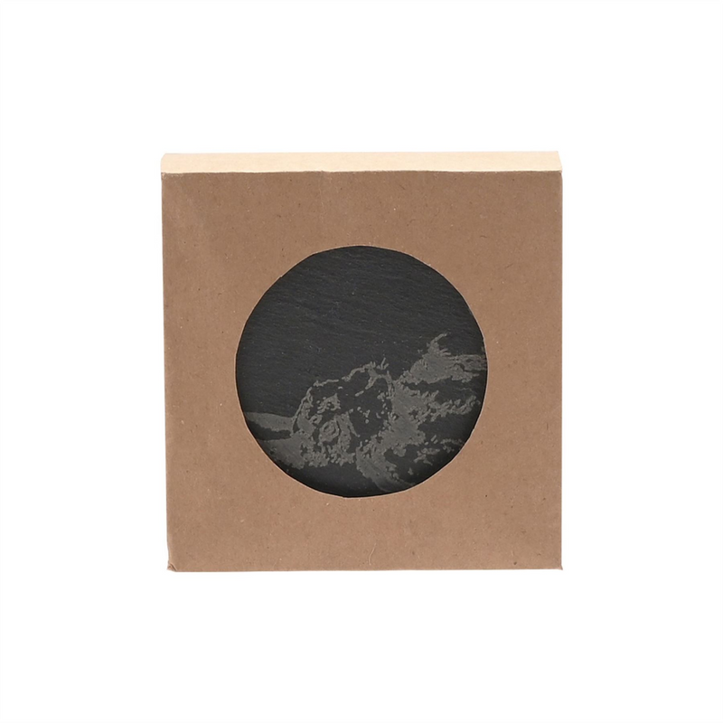 Meg Hawkins Set of 4 Engraved Animal Coasters