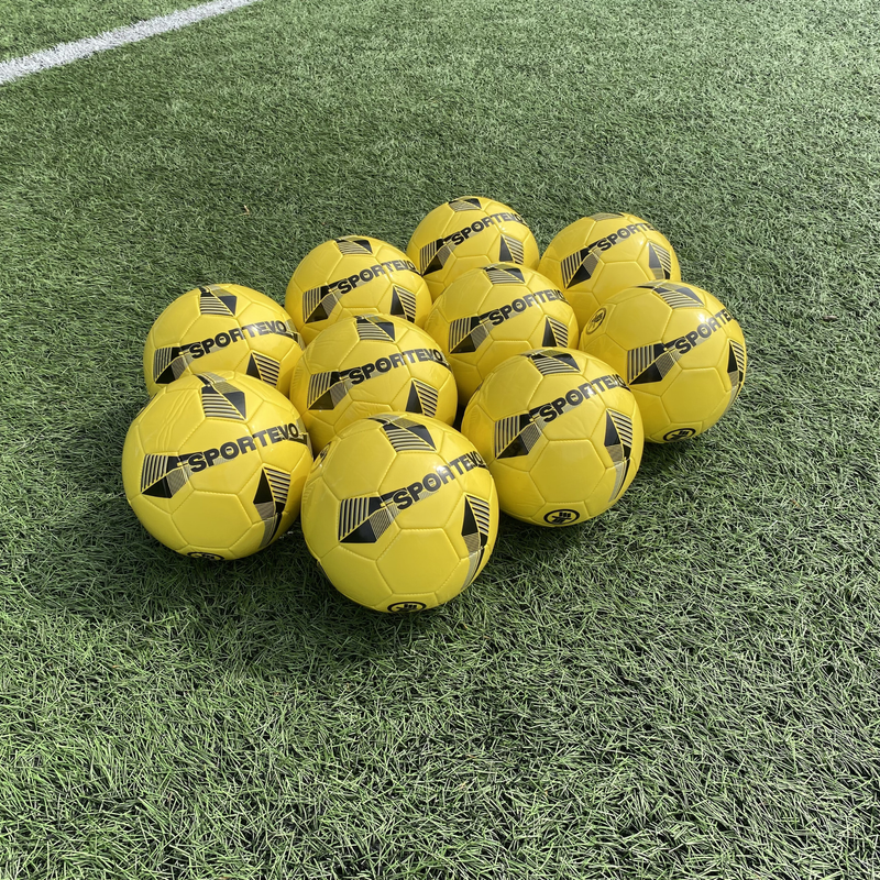 Eclipse Training Football Bundle [10 Pack] + Free Ball Carry Bag