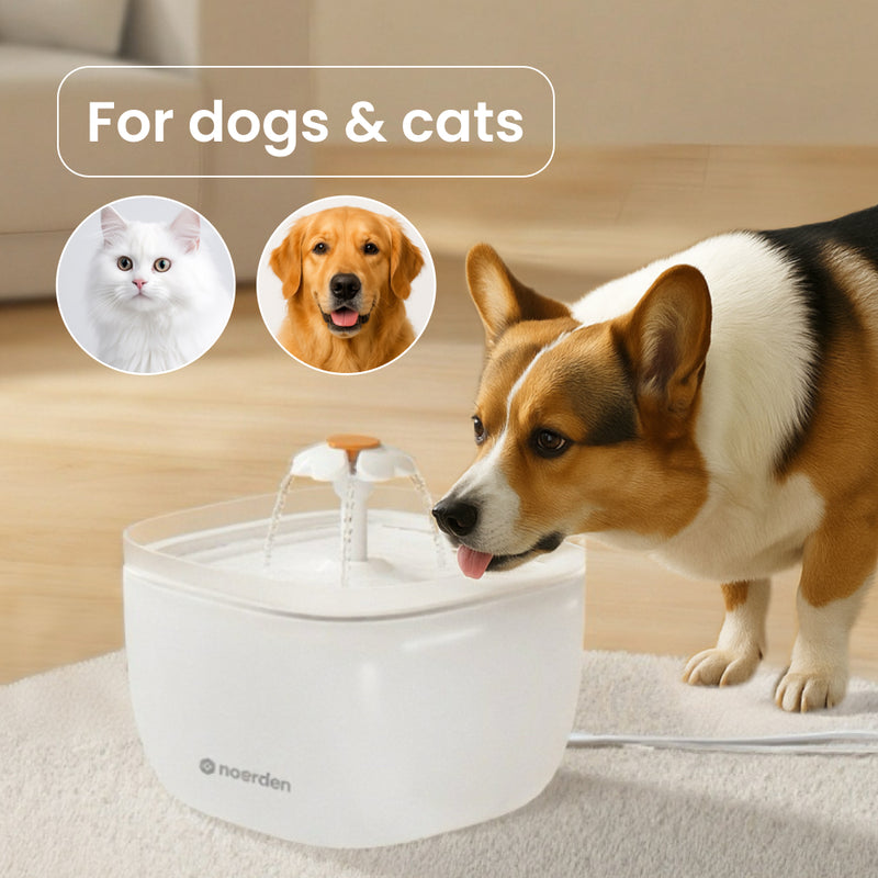 PawQuench (Quiet Water Fountain)