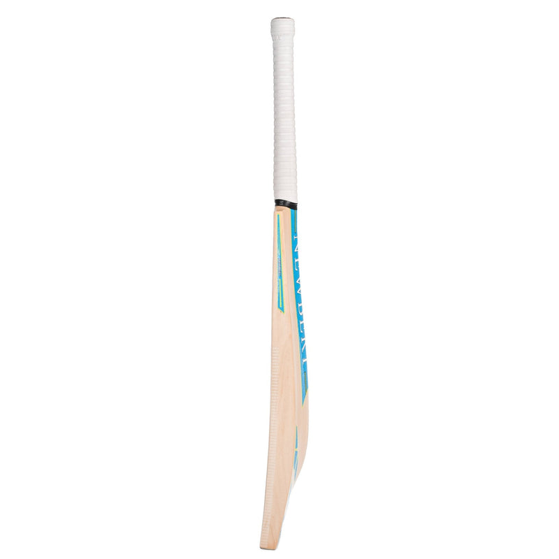 Newbery Pulse Kashmir Willow Cricket Bat