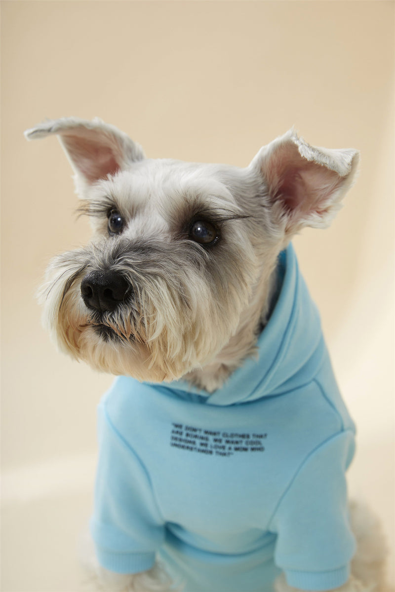 Hoodie with Slogan