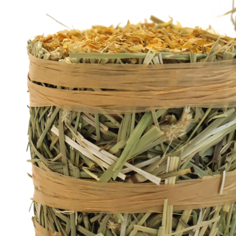 Burgess Forage & Feast Hay Bale with Marigold