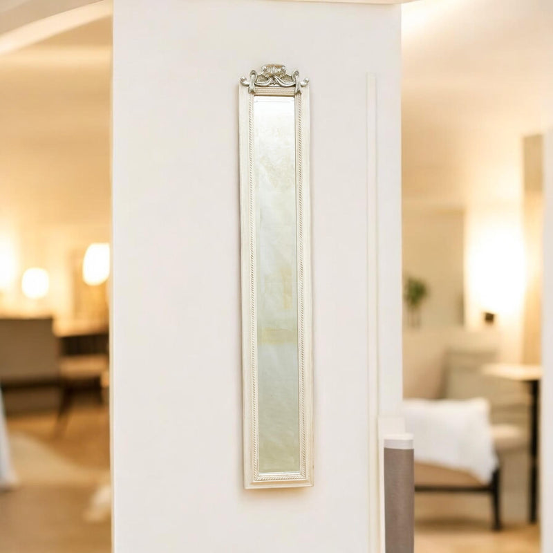 13 X 109CM MIRROR