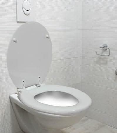 17" Standard White Oval Toilet Seat with Adjustable Hinge