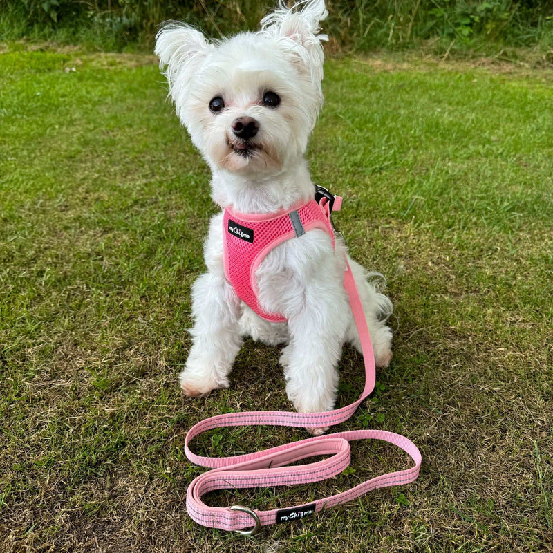 Tiny Trails Reflective 15mm Webbing Lead with Neoprene Handle Lining Pink