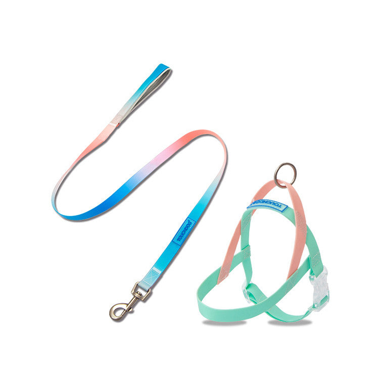 Pet PVC jelly gradient traction rope