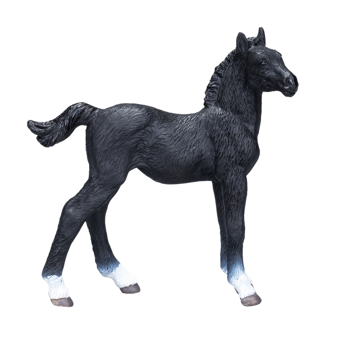 Hanoverian Foal Black Realistic Equestrian Figurine