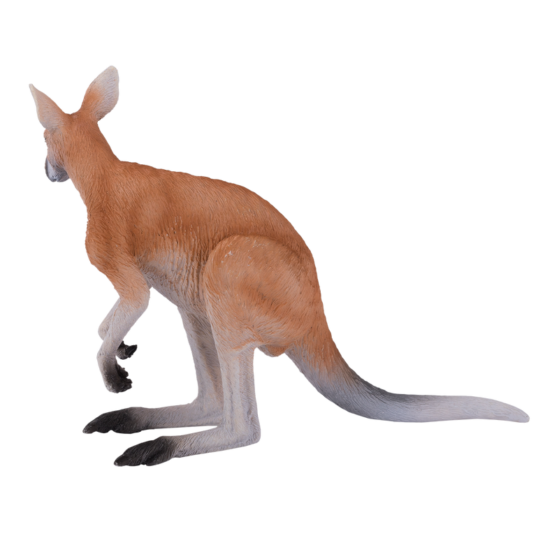Kangaroo Toy Realistic Australian Wildlife Model