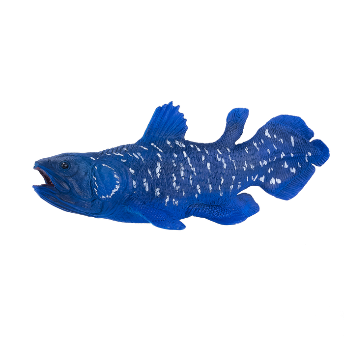 Coelacanth Toy Realistic Prehistoric Fish Model