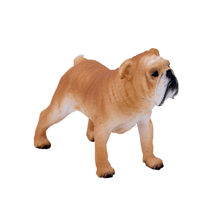 English Bulldog Toy Realistic Pet Figurine