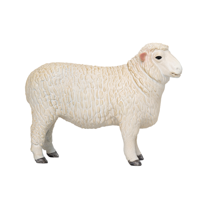 Romney Sheep Ram Toy Realistic Farm Animal Figurine