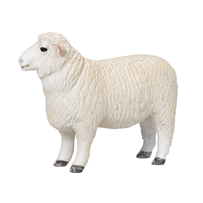 Romney Sheep Ram Toy Realistic Farm Animal Figurine
