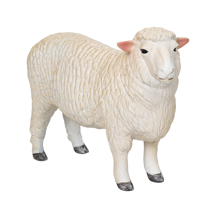 Romney Sheep Ram Toy Realistic Farm Animal Figurine