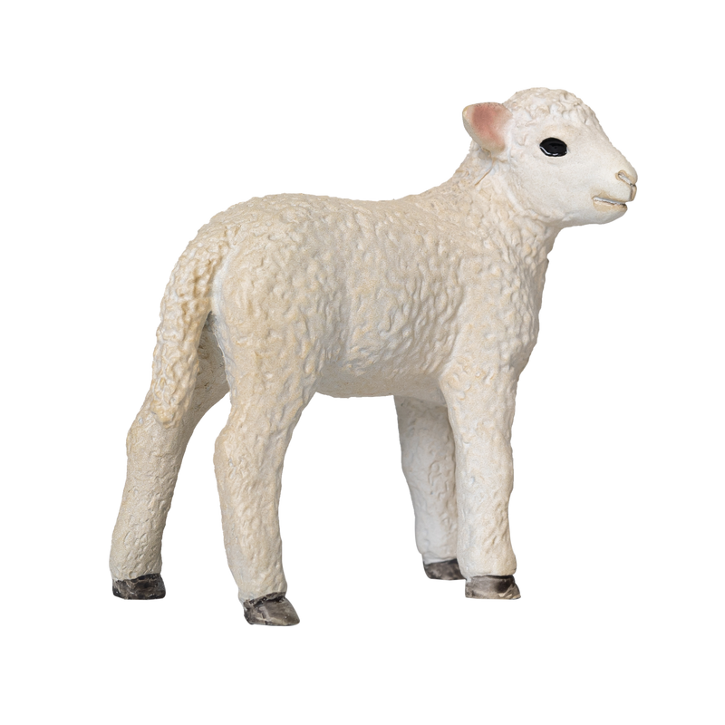 Romney Sheep Lamb Standing Farm Animal Figurine